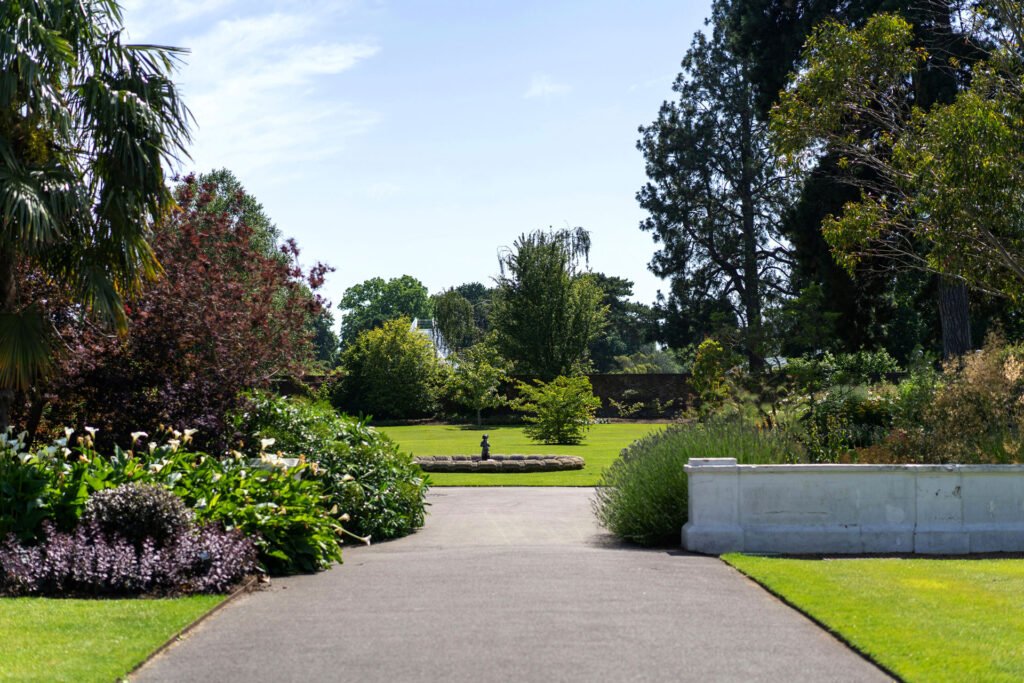 image_7